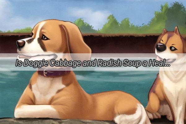 Is Doggie Cabbage and Radish Soup a Healthy Treat Find Out Now